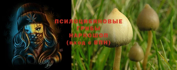 круглые Алзамай