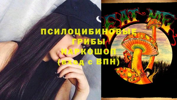 сатива Алексеевка