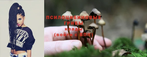 прущий лед Алексин