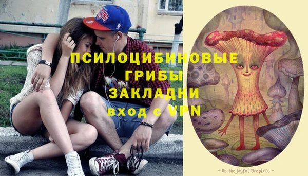 круглые Алзамай