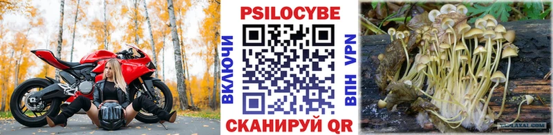 Псилоцибиновые грибы Psilocybine cubensis  Усть-Катав 